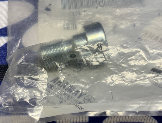 Yamaha Front Fork Hexagon Socket Head Bolt YZF-R1 1998-2003 OEM 3LC-23181-00-00
