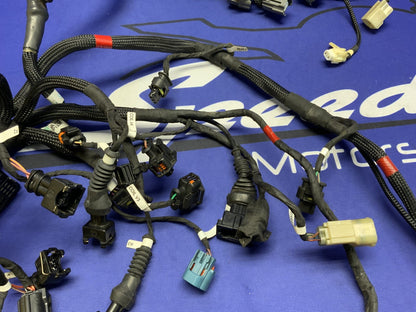 Ducati Electric Wiring Harness Panigale V4 2021-2024 OEM 5101H711E