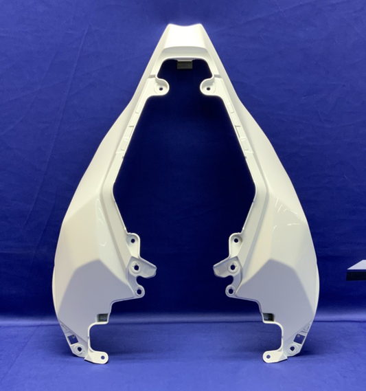 Kawasaki Rear Tail Fairing (40th Ann) ZX-10R/RR 2021-2025 OEM 36042-0007-667