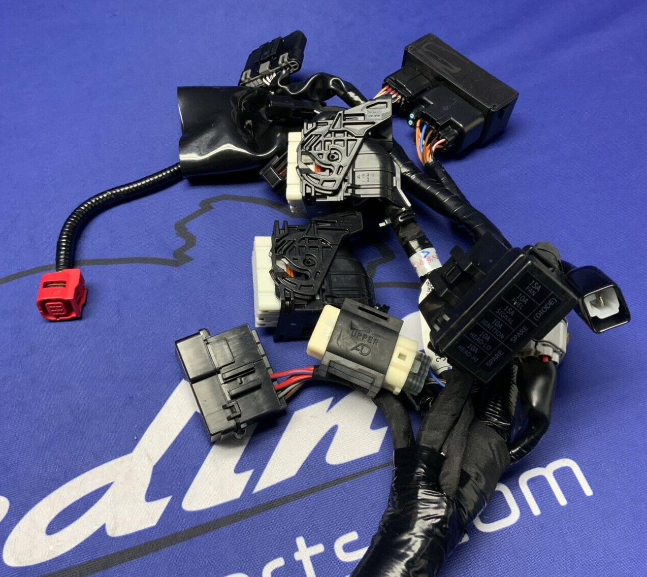 Suzuki Wire Harness GSX-8R 2024-2025 OEM 36610-25L20