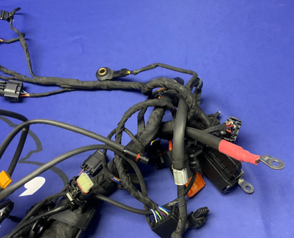 BMW Main Wire Harness S1000RR (K67) 2019-2022 OEM 61117105051