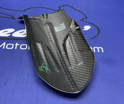 Energica Rear Fender Mudguard EGO/EVA 2013-2024