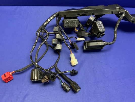 Triumph Main Wiring Harness (No Horn) Street Triple RS 23-25 OEM T2506090-1