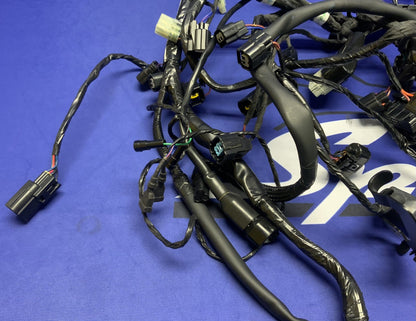 Triumph Main Wiring Harness Street Triple RS 2023-2025 OEM T2509765