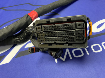 Ducati Main Wiring Harness Panigale V2 2020-2024 OEM 5101D691D