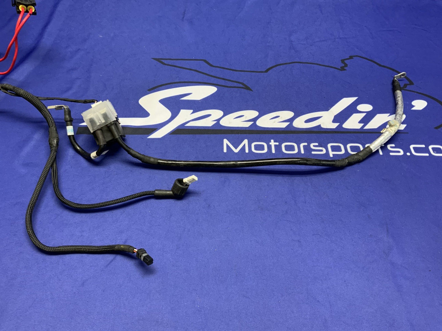 Ducati Main Wiring Harness Panigale V4 2022-2024 OEM 5101L281A
