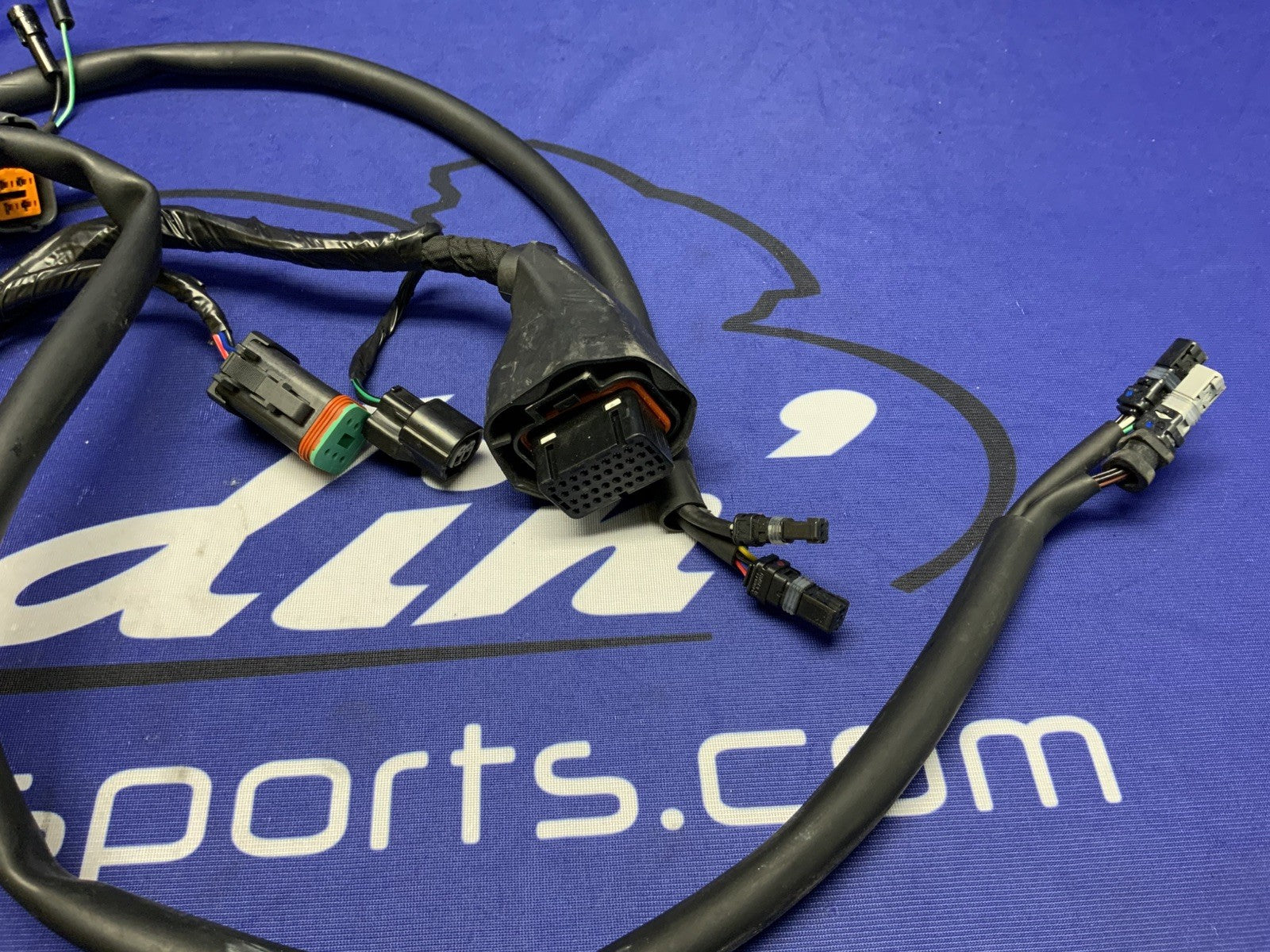 Triumph Main Wiring Harness (No Horn) Street Triple RS 23-25 OEM T2506090-1