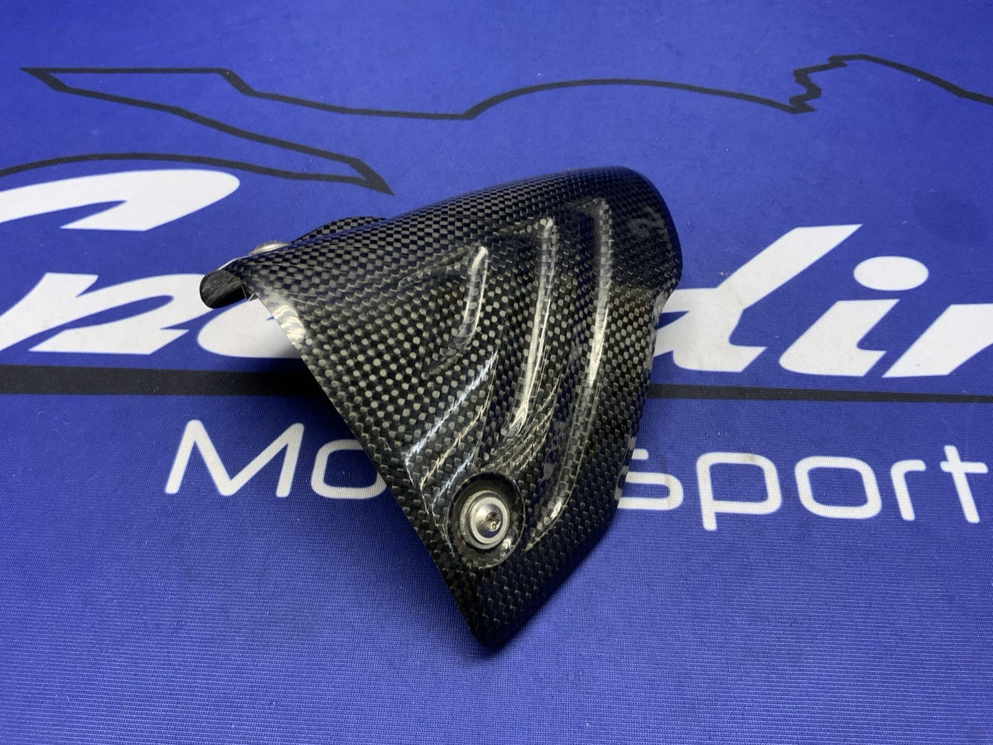 Akrapovic Carbon Fiber Heat Shield BMW S10000RR/M1000RR 2019-2022 P-HSB10E3