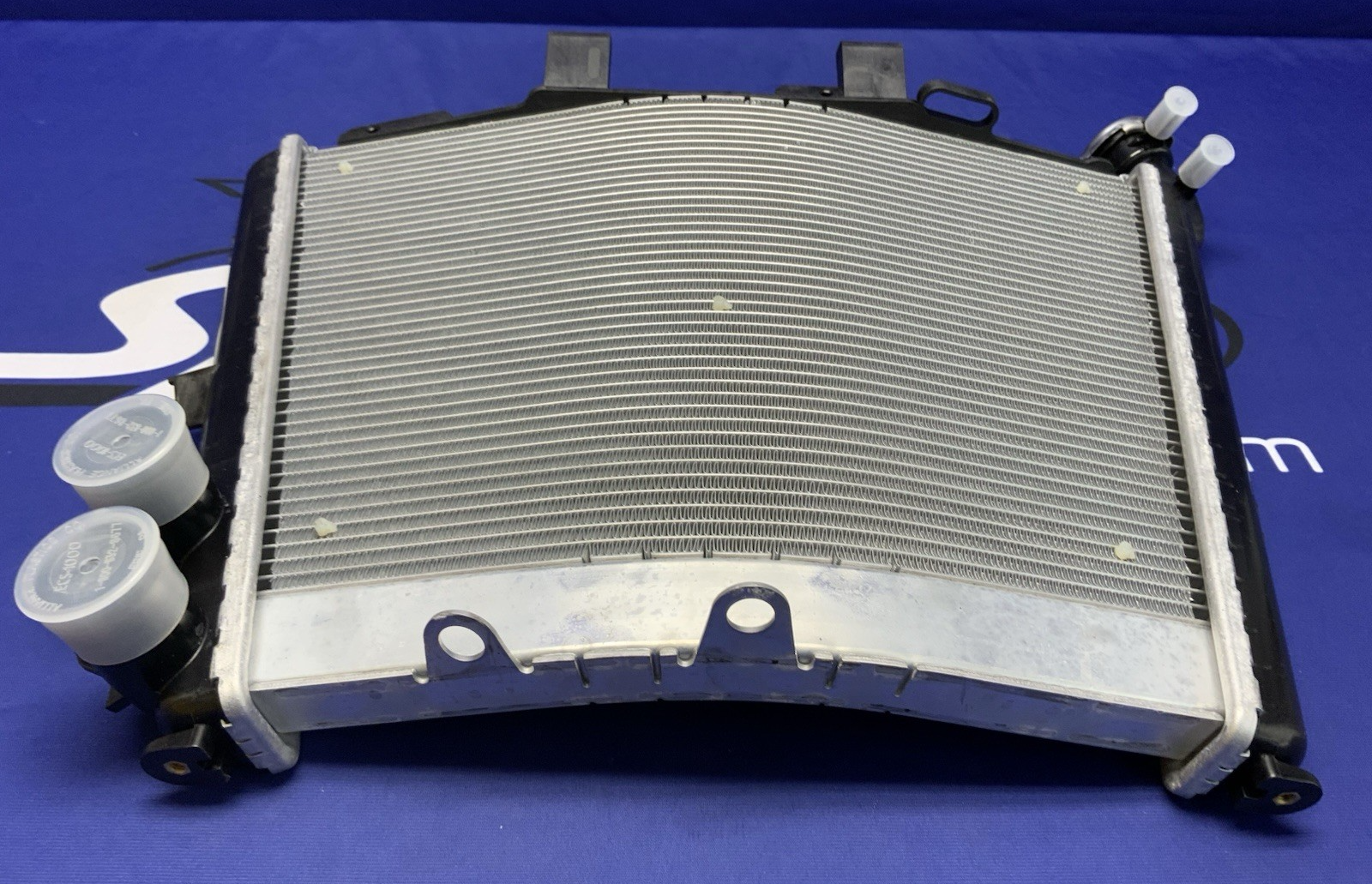 BMW Radiator S1000RR 2018-2026 OEM 17118356804