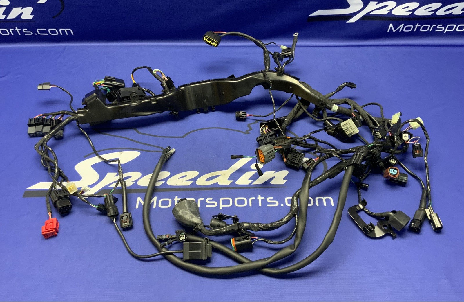 Triumph Main Wiring Harness Street Triple RS 2023-2025 OEM T2509765