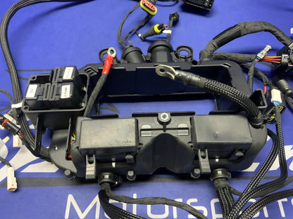 Ducati Main Wiring Harness Panigale V4 Speciale 2019 OEM 5101C371G
