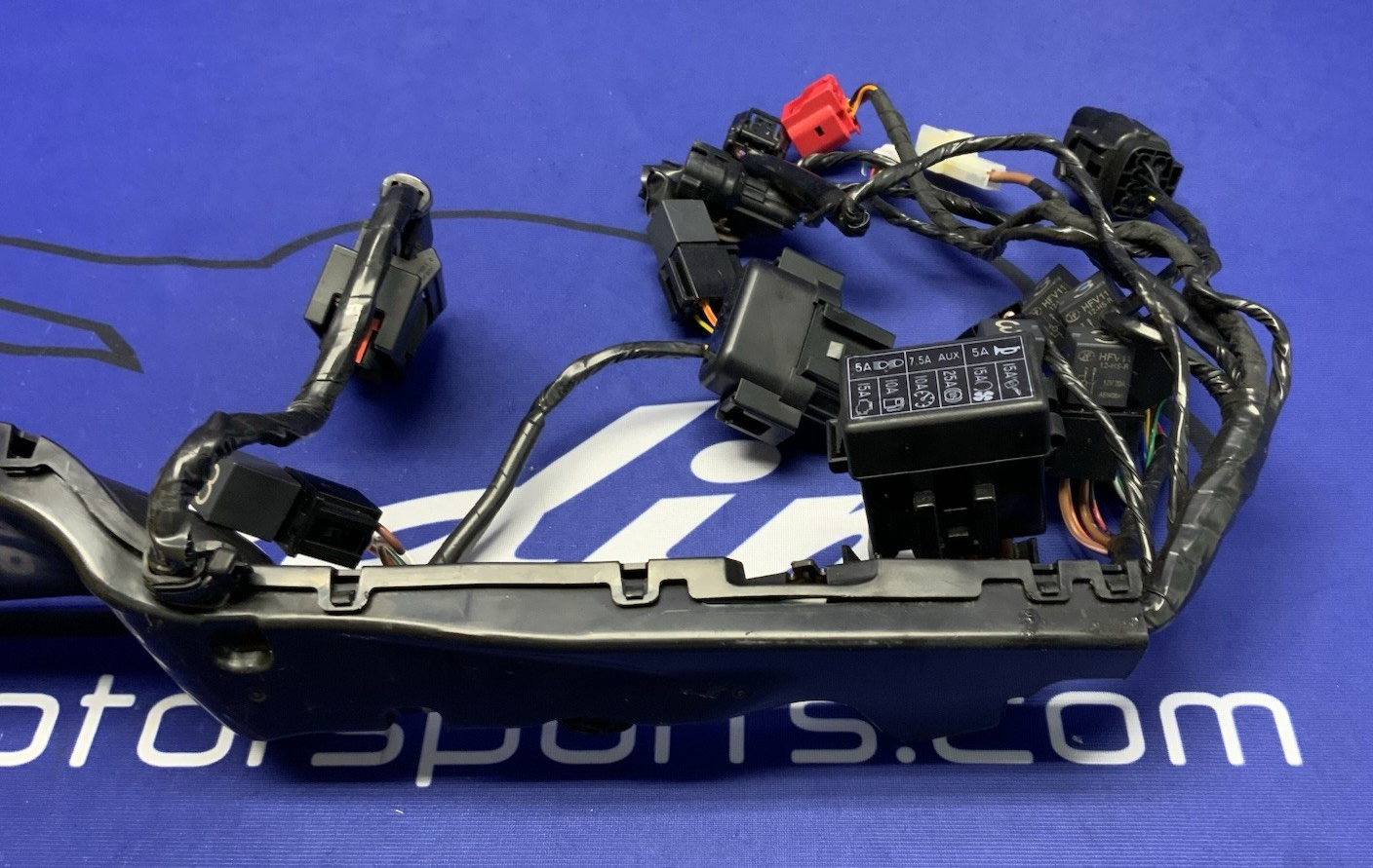 Triumph Main Wiring Harness (No Horn Connector) Street Triple 2023-2025 T2506090