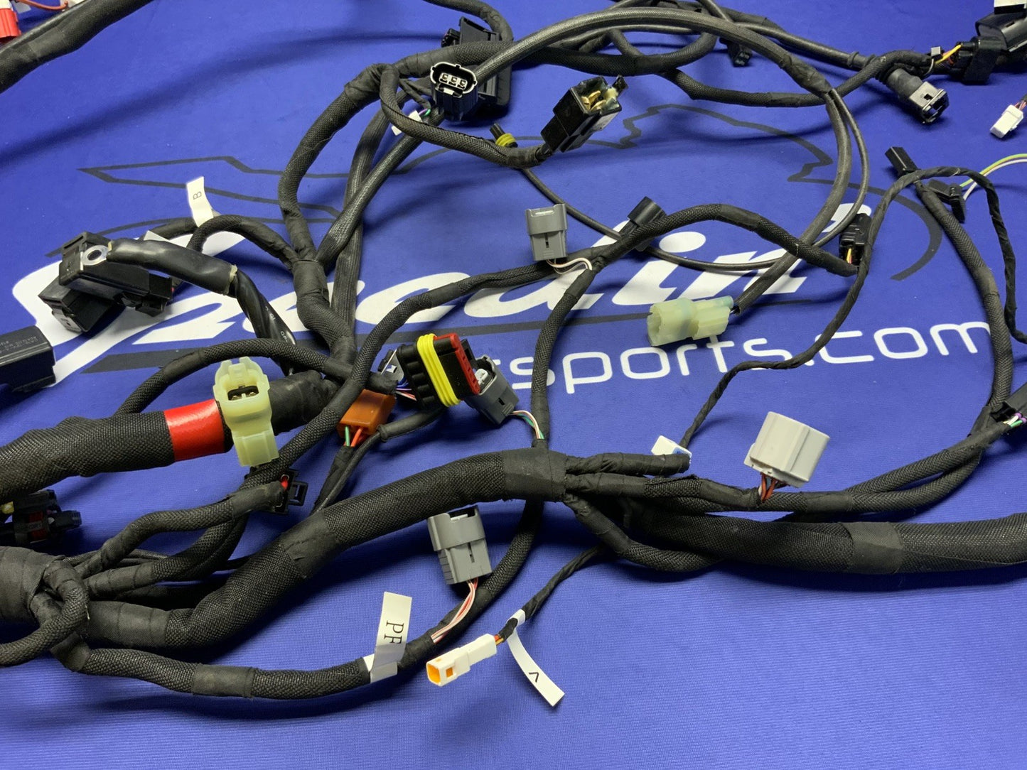 MV Agusta Wiring Harness F3R/RR 2023 OEM 8000D1225