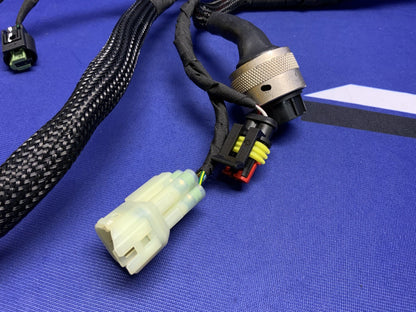 Ducati Main Wiring Harness Panigale V2 2020-2024 OEM 5101D691D