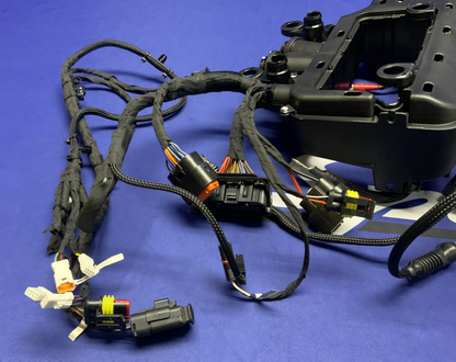 Ducati Main Wiring Harness Panigale V4 Speciale 2019 OEM 5101C371G