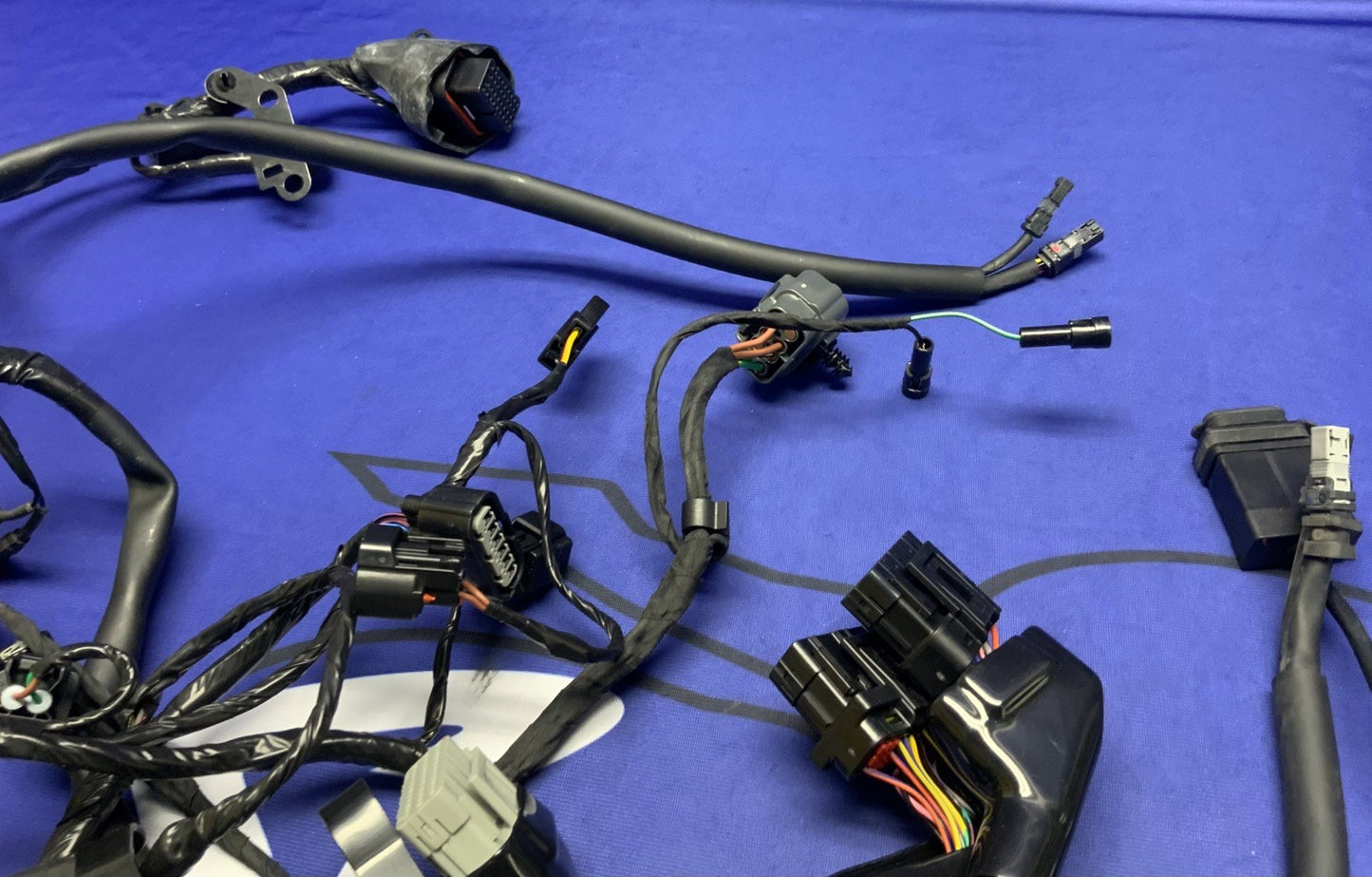 Triumph Main Wiring Harness Street Triple RS 2023-2025 OEM T2509765