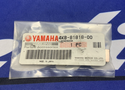 Yamaha Brush & Bolt Set Wolverine 350 1995-2005 OEM 4KB-81818-00-00