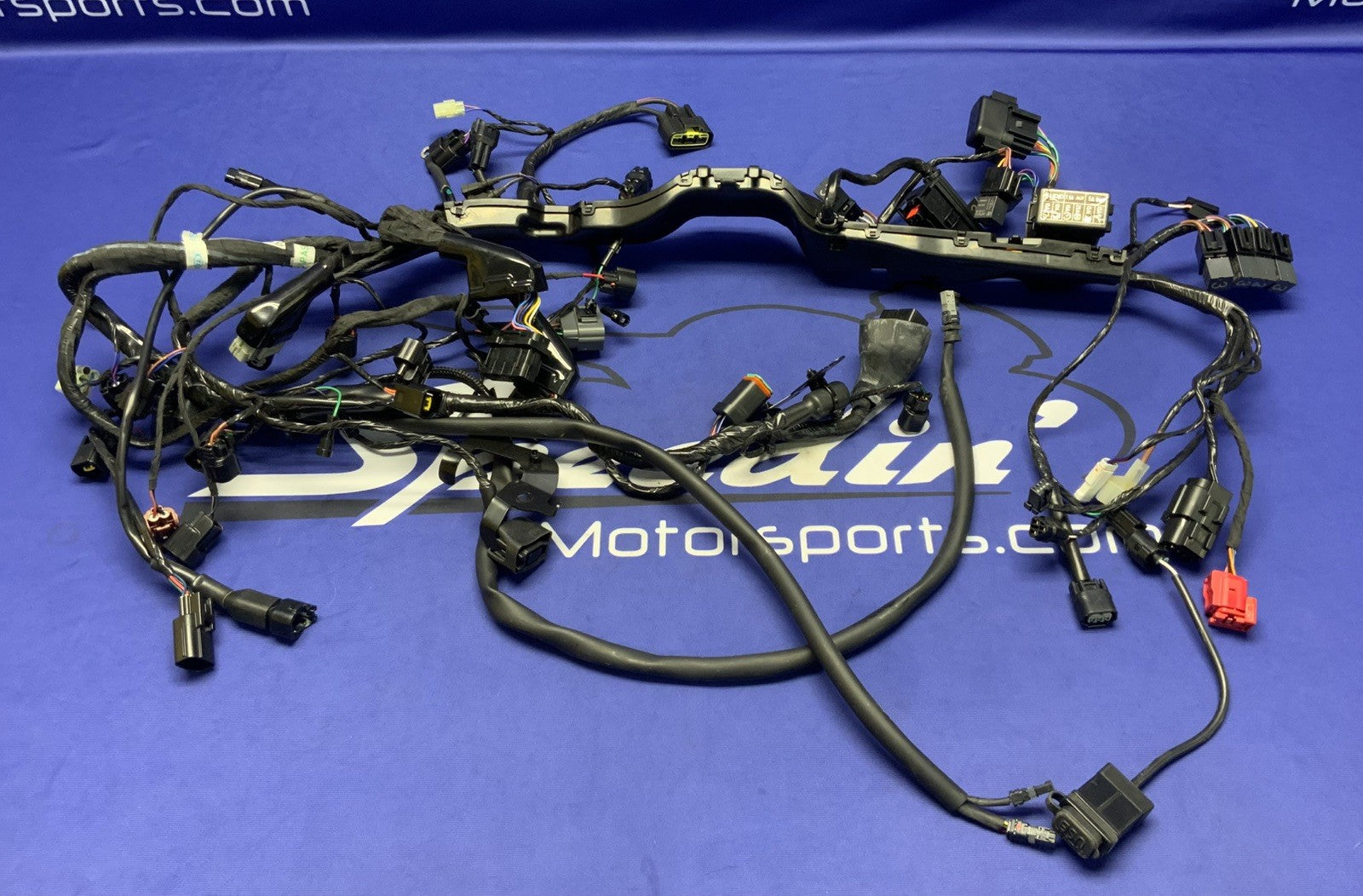 Triumph Main Wiring Harness Street Triple RS 2023-2025 OEM T2509765