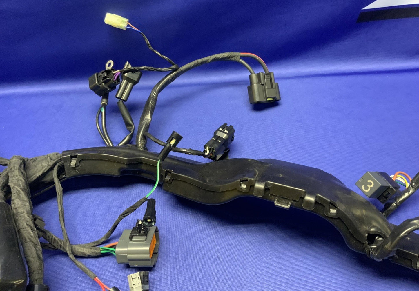 Triumph Main Wiring Harness Street Triple RS 2023-2025 OEM T2509765