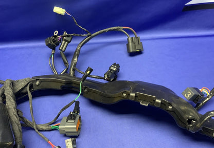 Triumph Main Wiring Harness Street Triple RS 2023-2025 OEM T2509765