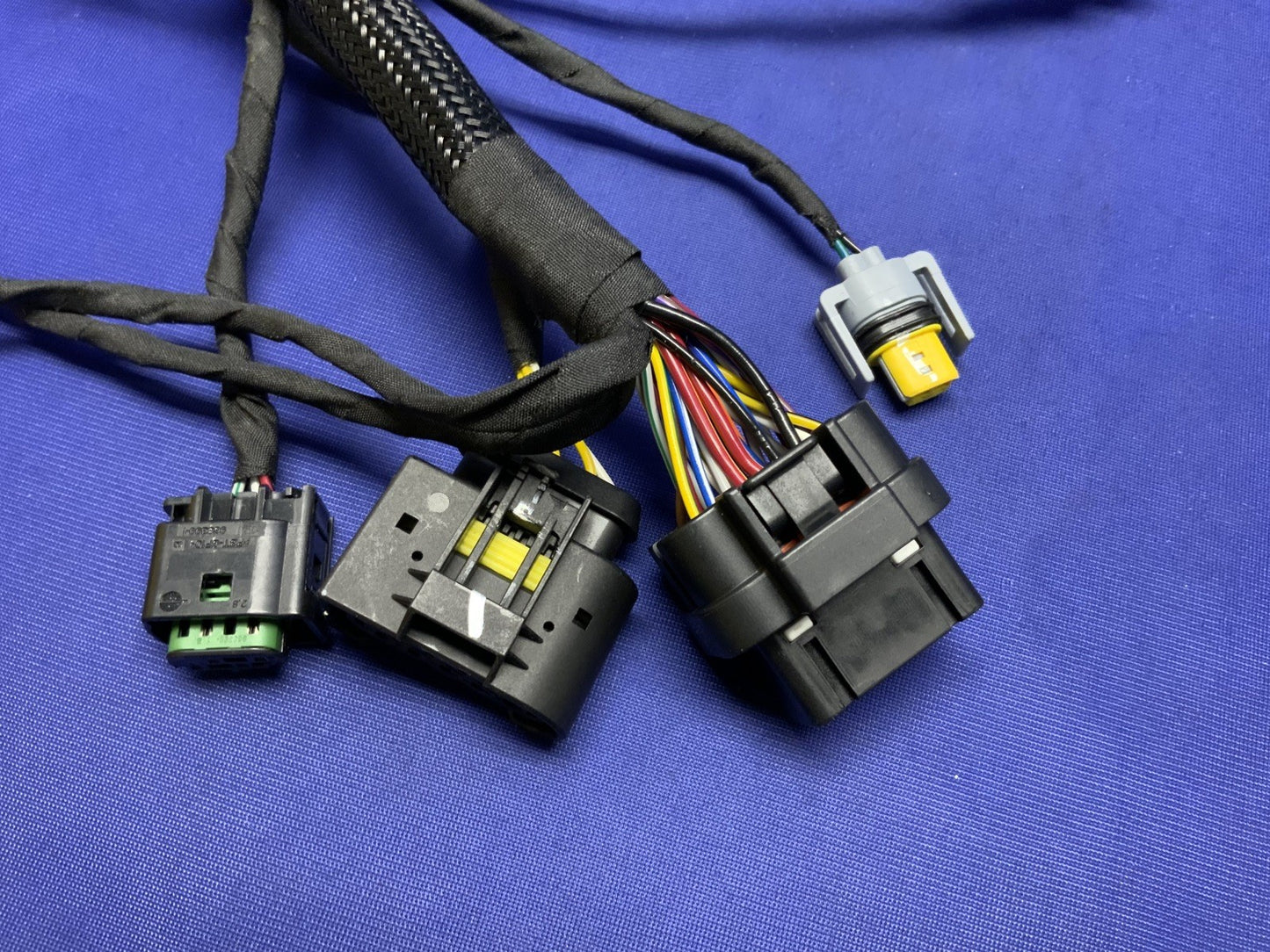 Ducati Main Wiring Harness Panigale V2 2020-2024 OEM 5101D691D