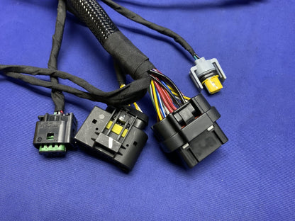 Ducati Main Wiring Harness Panigale V2 2020-2024 OEM 5101D691D