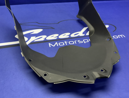 Kawasaki Under Cowling Ninja ZX-4RR 2023-2026 OEM 55028-0726