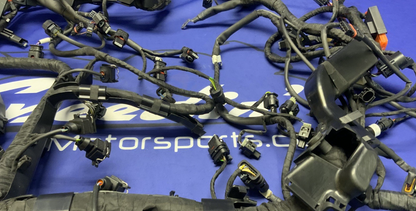 BMW Main Wire Harness S1000RR (K67) 2019-2022 OEM 61117105051