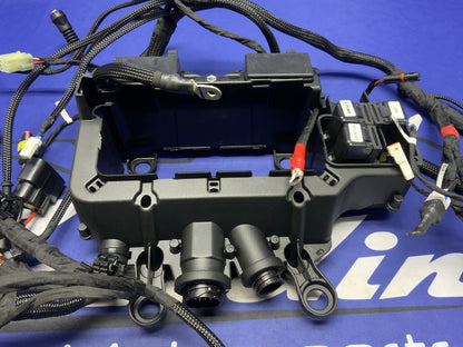 Ducati Main Wiring Harness Panigale V4 Speciale 2019 OEM 5101C371G