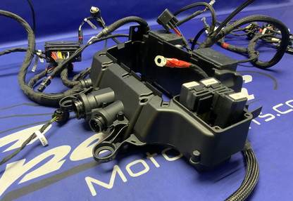 Ducati Main Wiring Harness Panigale V4 Speciale 2019 OEM 5101C371G