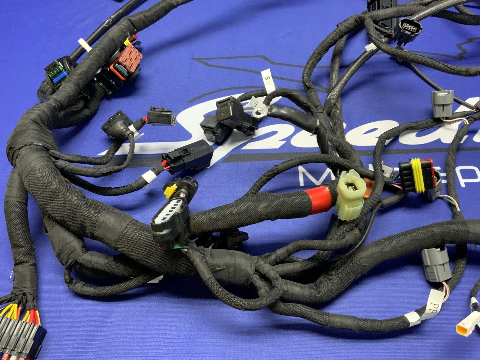 MV Agusta Wiring Harness F3R/RR 2023 OEM 8000D1225