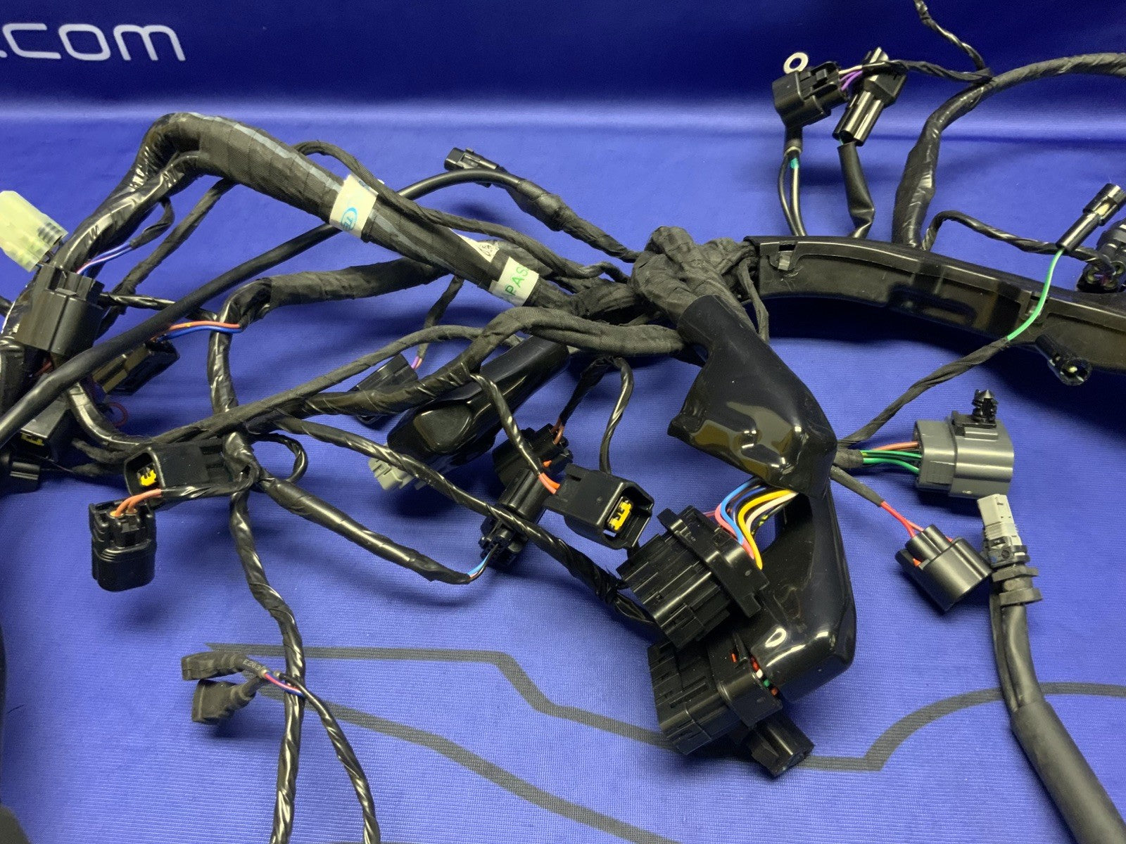 Triumph Main Wiring Harness Street Triple RS 2023-2025 OEM T2509765