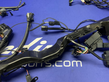 Triumph Main Wiring Harness Street Triple RS 2023-2025 OEM T2509765