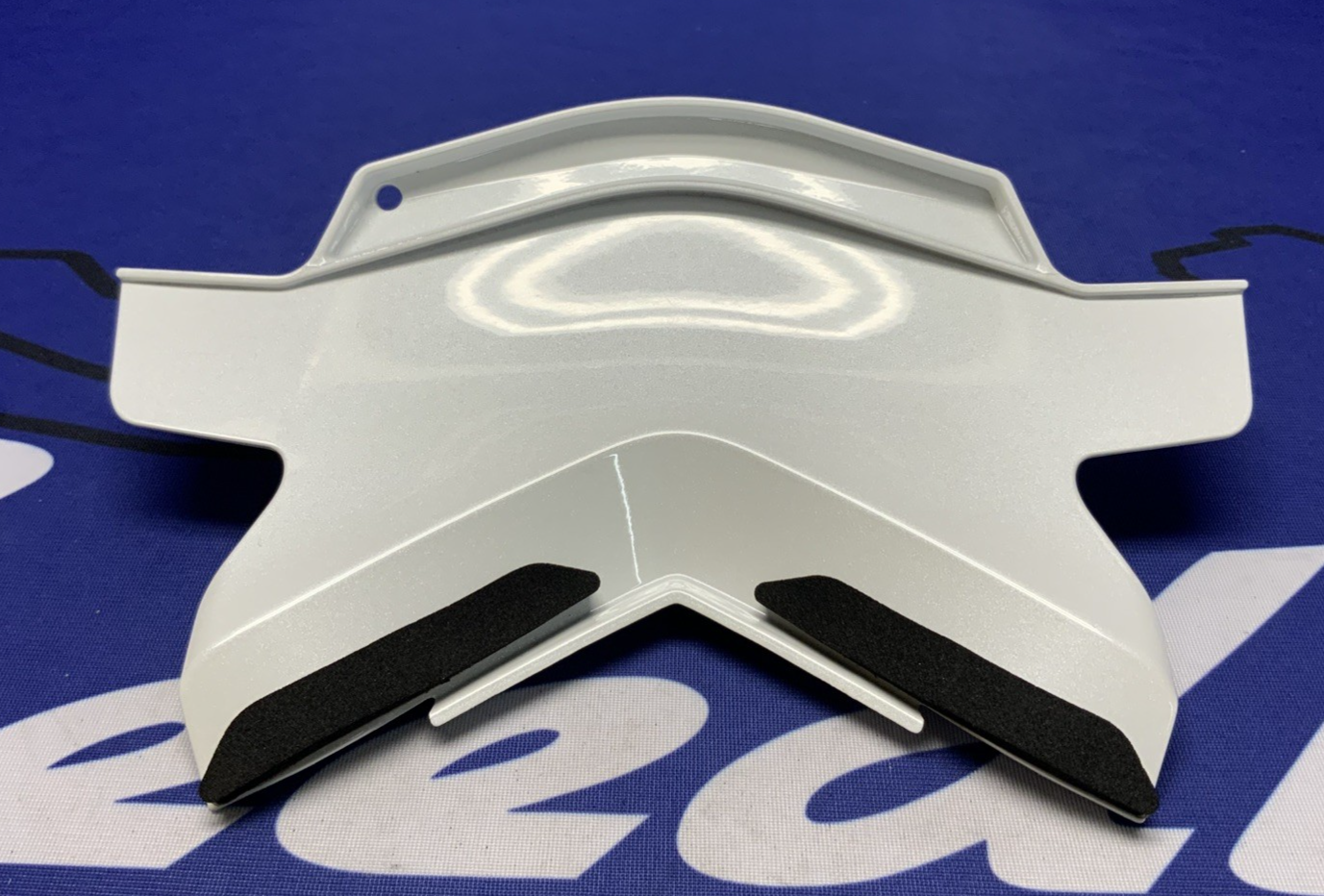 Kawasaki Rear Tail Cover (40th Ann) ZX-10R/RR 2021-2025 OEM 36042-0006-667