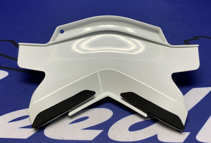 Kawasaki Rear Tail Cover (40th Ann) ZX-10R/RR 2021-2025 OEM 36042-0006-667