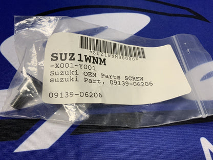 Suzuki Screw GSX-1300RR OEM 09139-06206