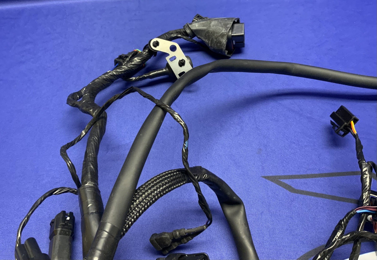 Triumph Main Wiring Harness Street Triple RS 2023-2025 OEM T2509765