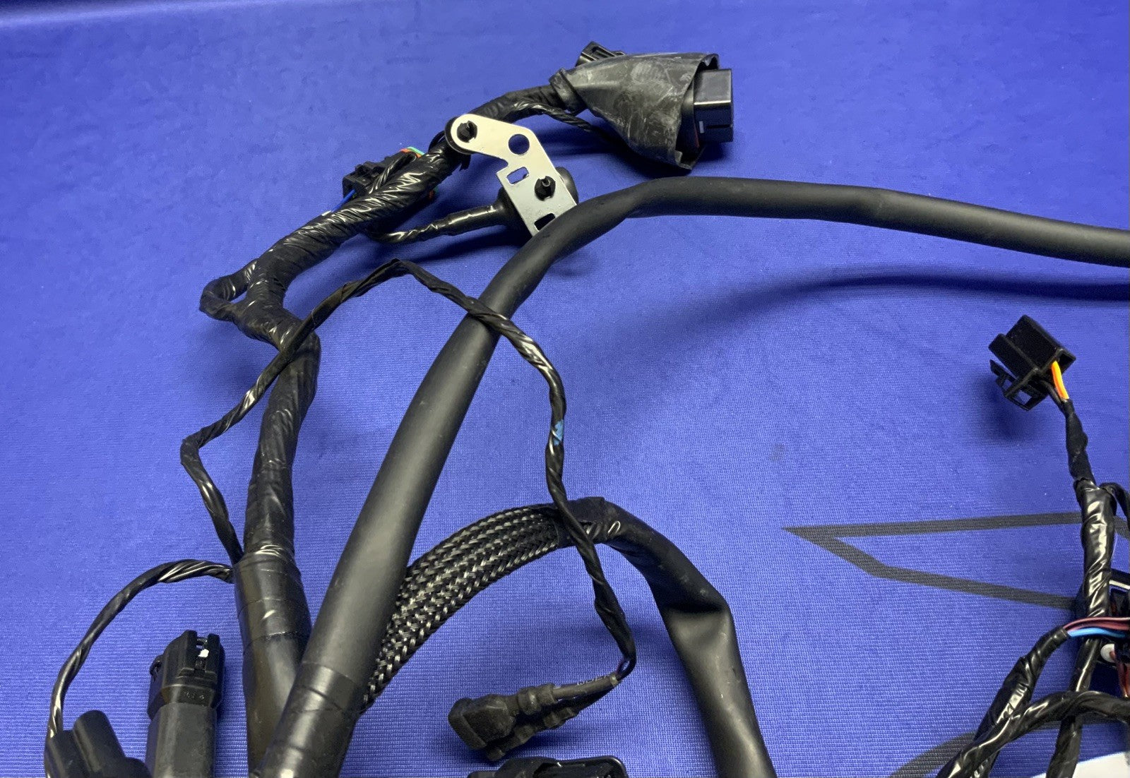 Triumph Main Wiring Harness Street Triple RS 2023-2025 OEM T2509765