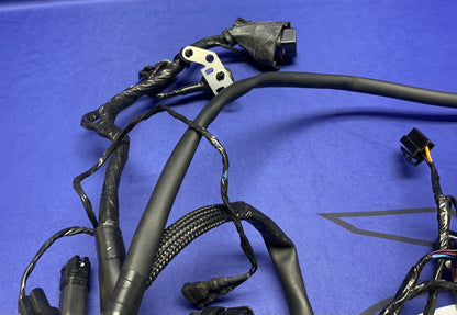 Triumph Main Wiring Harness Street Triple RS 2023-2025 OEM T2509765