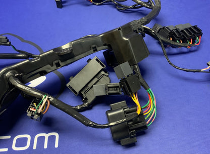Triumph Main Wiring Harness Street Triple RS 2023-2025 OEM T2509765
