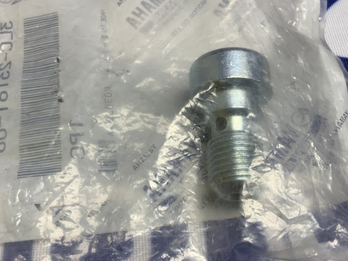 Yamaha Front Fork Hexagon Socket Head Bolt YZF-R1 1998-2003 OEM 3LC-23181-00-00