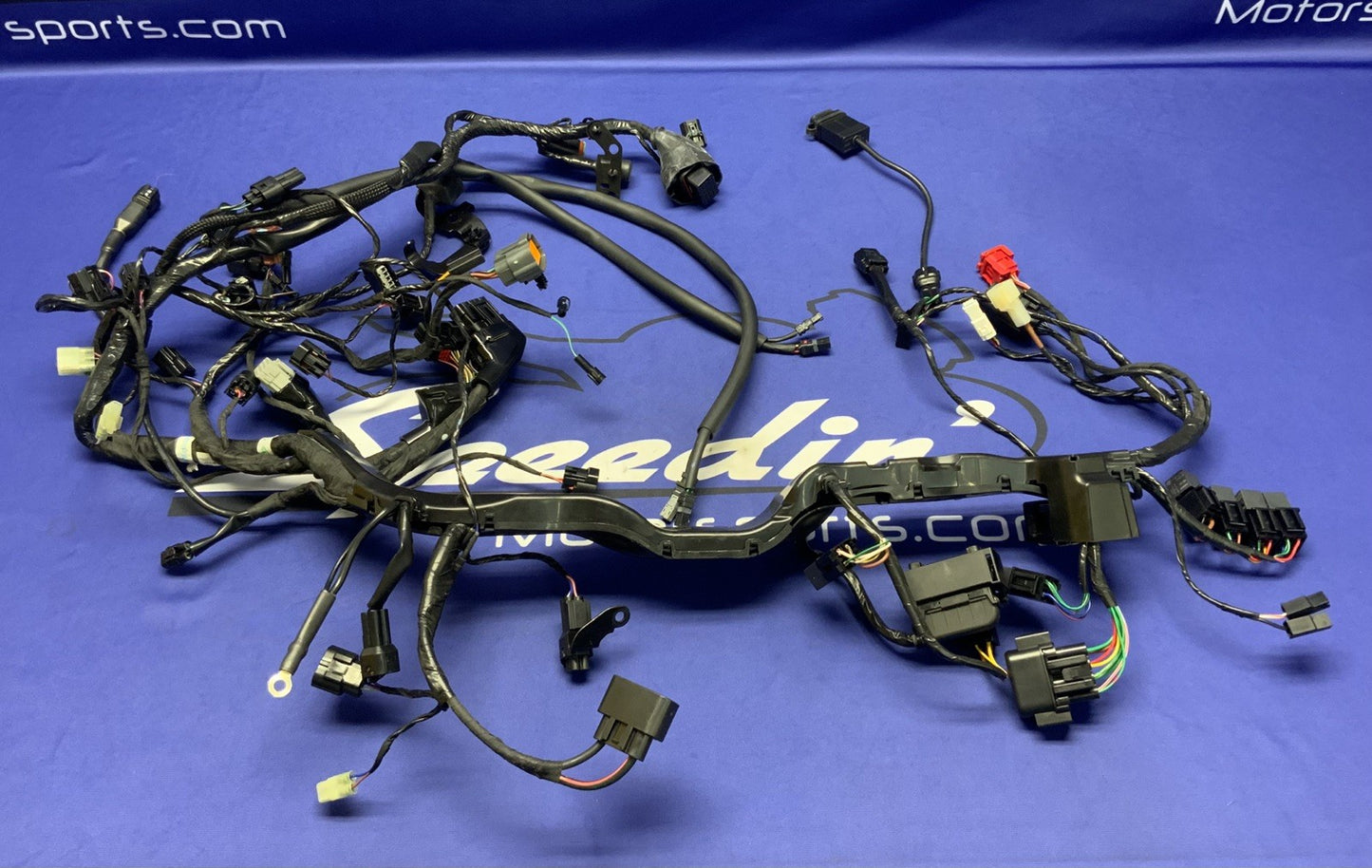 Triumph Main Wiring Harness Street Triple RS 2023-2025 OEM T2509765