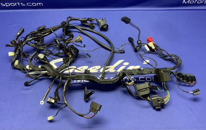Triumph Main Wiring Harness Street Triple RS 2023-2025 OEM T2509765