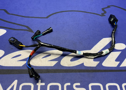 Triumph Rear Fender Lighting Harness Street Triple RS 765 2023-2026 OEM T2500898