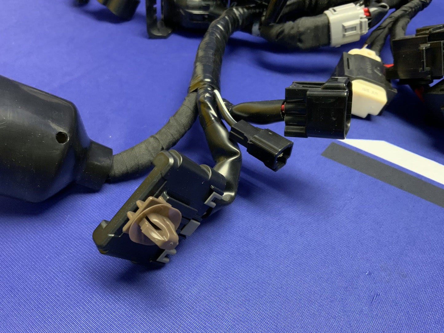 Suzuki Main Wiring Harness GSX-8R 2024-2026 OEM 36610-25L20-3