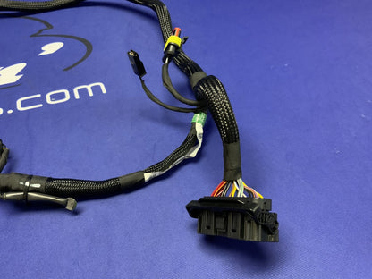 Ducati Main Wiring Harness Panigale V2 2020-2024 OEM 5101D691D