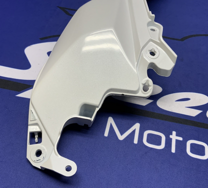 Kawasaki Rear Tail Fairing (40th Ann) ZX-10R/RR 2021-2025 OEM 36042-0007-667