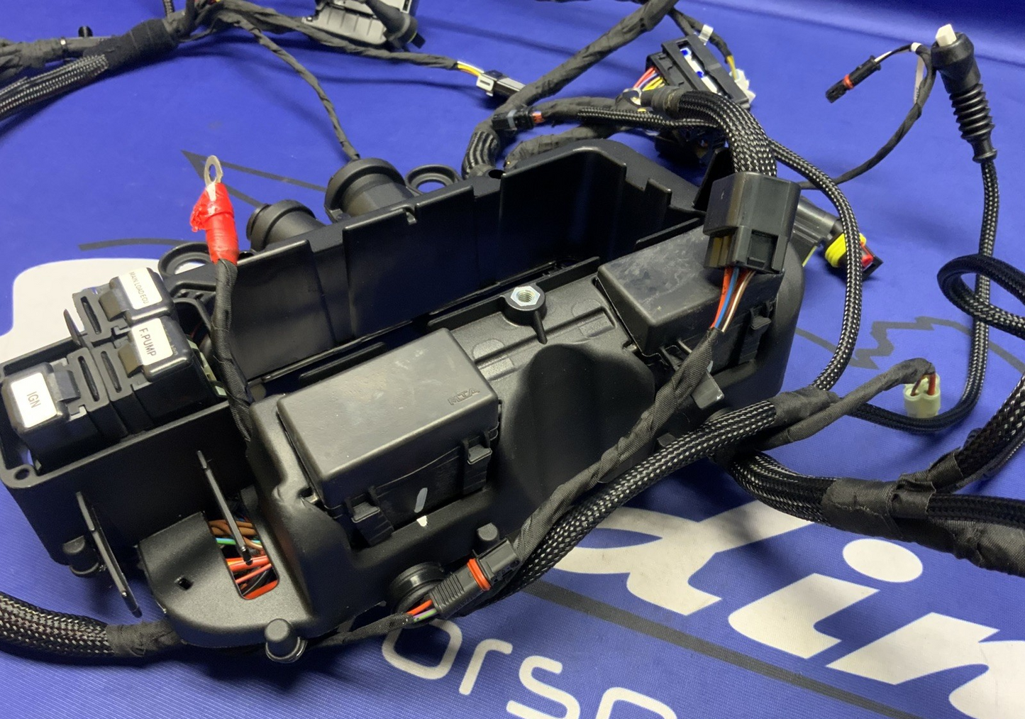 Ducati Main Wiring Harness Panigale V4 Speciale 2019 OEM 5101C371G
