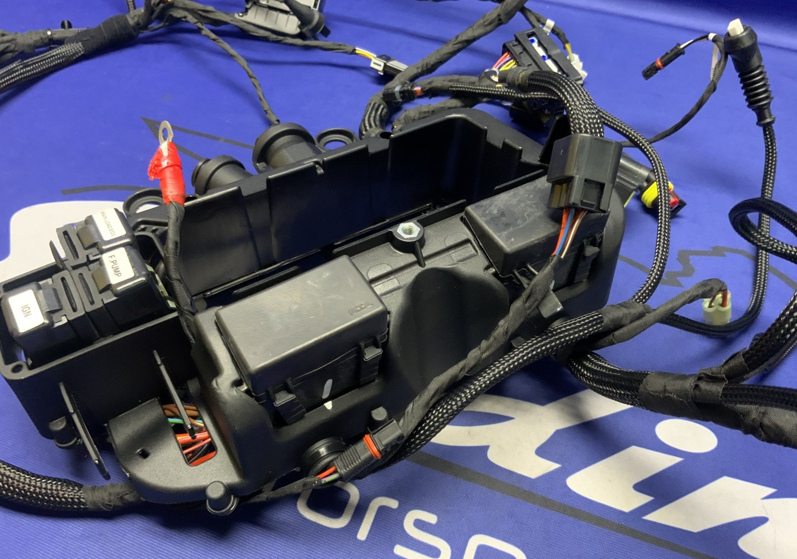 Ducati Main Wiring Harness Panigale V4 Speciale 2019 OEM 5101C371G