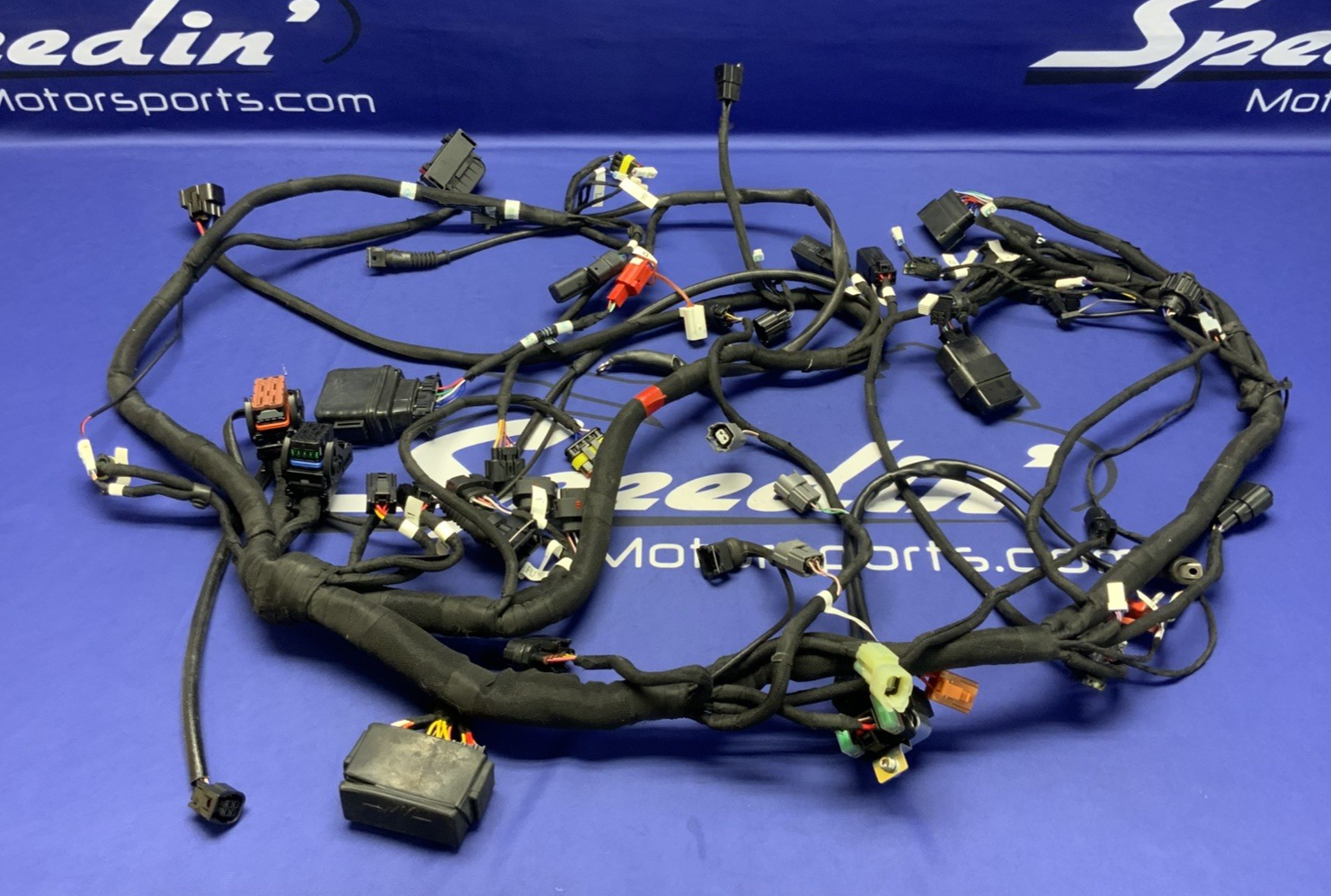 MV Agusta Wiring Harness F3R/RR 2023 OEM 8000D1225